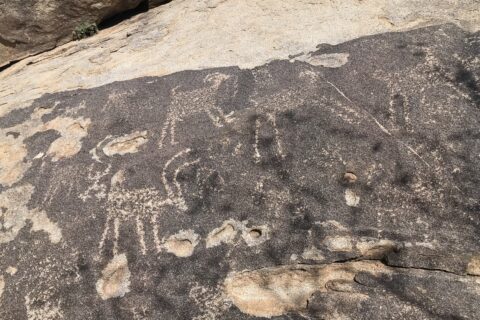 The image for Sutherland Wash Rock Art District