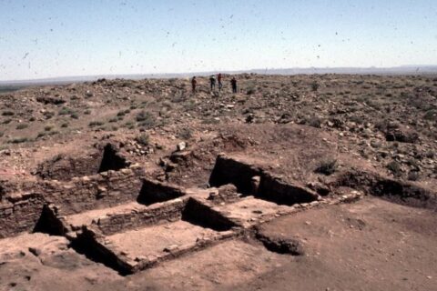 The image for E. Charles Adams – Deposits and the Stories They Tell: Social Practice, Social Identity, and Social Power at Homol’ovi I, a 14th-century Ancestral Hopi Pueblo in Northeastern Arizona