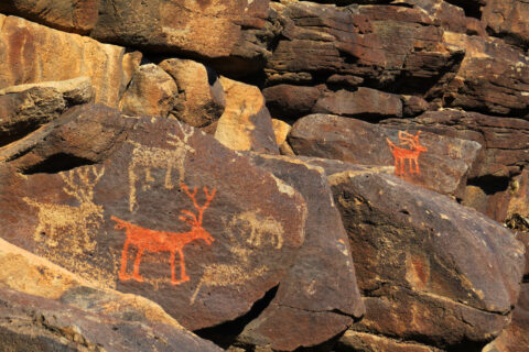 The image for The Archaeology of Perry Mesa, Arizona